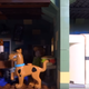 This Lego Artist Created the Ultimate Horror Movie Haunted House